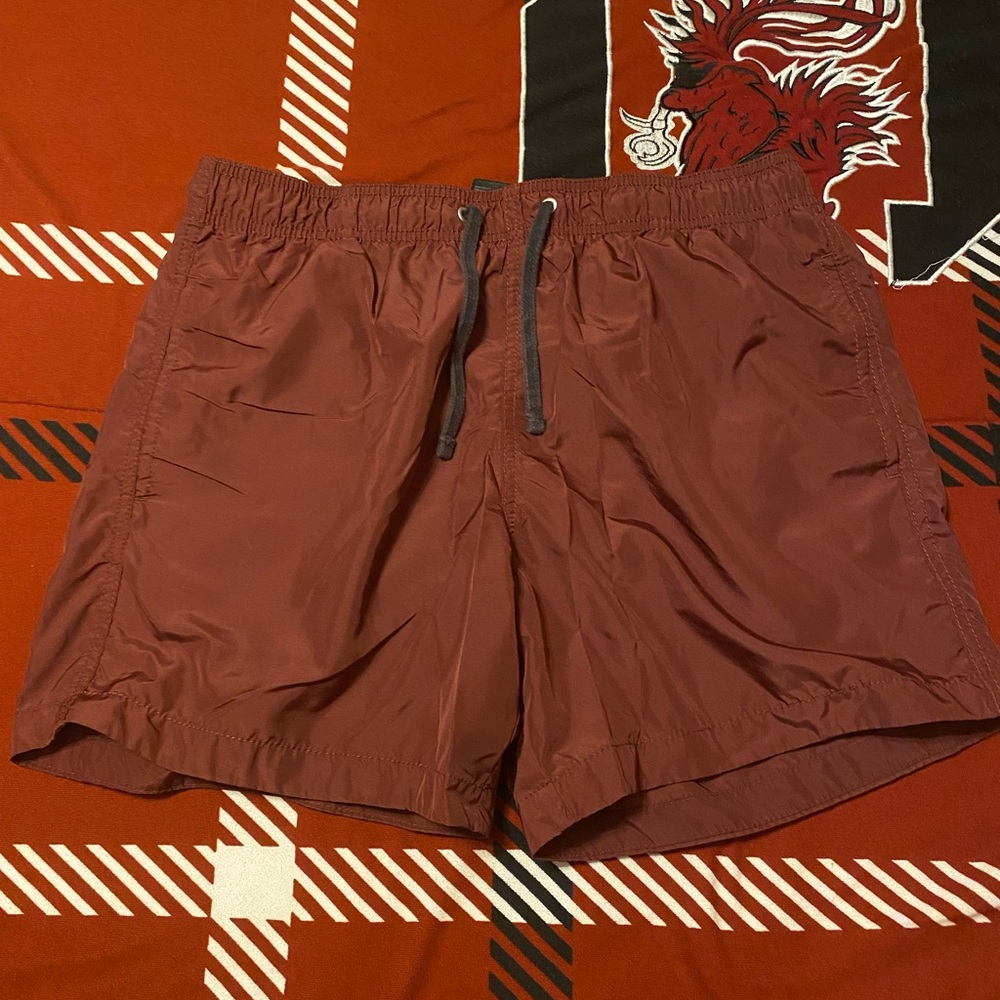 H&M Swim Trunks
